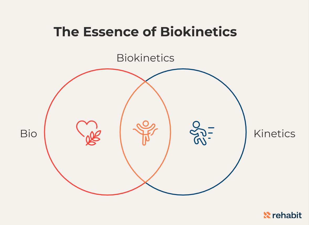 The meaning of biokinetics shown in a diagram.